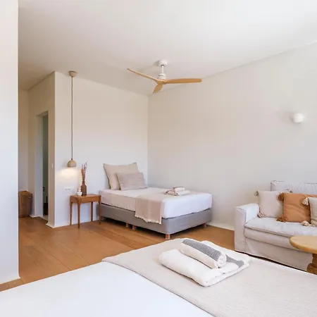 Βίλα Selinoe The Ultimate Experience Mykonos Town