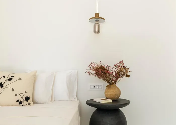 别墅 Selinoe The Ultimate Experience Mykonos Town