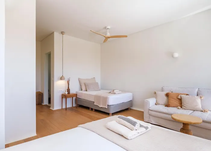 Villa Selinoe The Ultimate Experience Mykonos Town