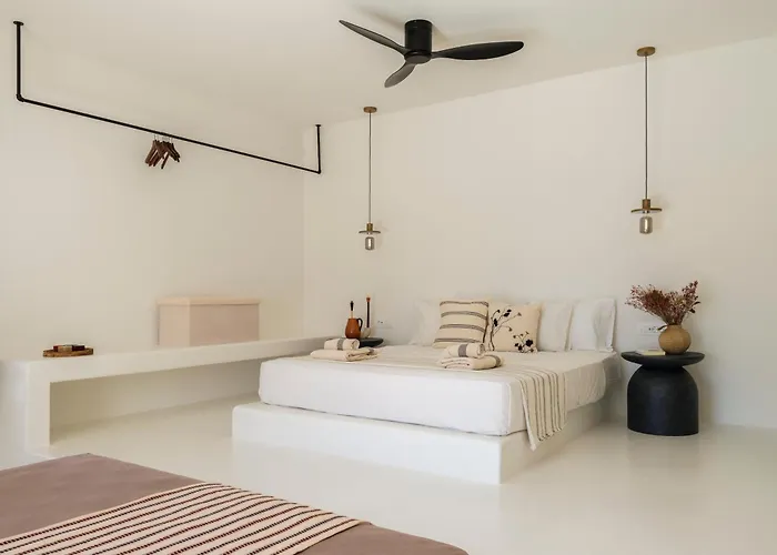 Selinoe The Ultimate Experience Villa Mykonos Town